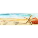 Starfish and Coral on Beach
