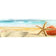 Starfish and Coral on Beach