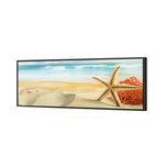Starfish and Coral on Beach