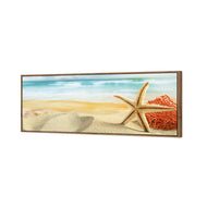 Starfish and Coral on Beach