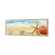 Starfish and Coral on Beach