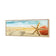 Starfish and Coral on Beach