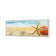 Starfish and Coral on Beach