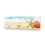 Starfish and Coral on Beach