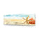 Starfish and Coral on Beach