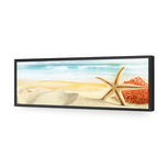 Starfish and Coral on Beach