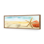 Starfish and Coral on Beach