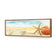 Starfish and Coral on Beach