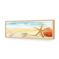 Starfish and Coral on Beach