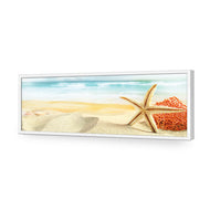 Starfish and Coral on Beach