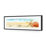 Starfish and Coral on Beach