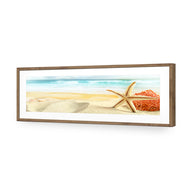 Starfish and Coral on Beach