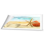 Starfish and Coral on Beach