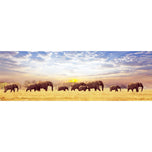 Elephant Trail