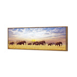 Elephant Trail