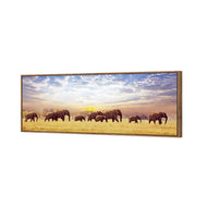 Elephant Trail