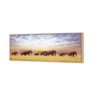 Elephant Trail