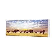 Elephant Trail