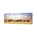 Elephant Trail