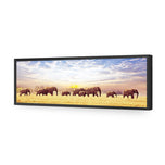 Elephant Trail