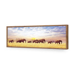 Elephant Trail