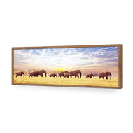 Elephant Trail