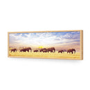 Elephant Trail