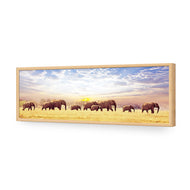 Elephant Trail