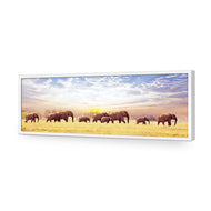 Elephant Trail
