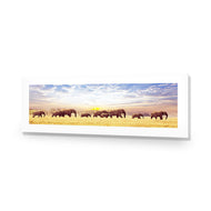 Elephant Trail