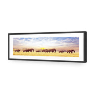 Elephant Trail