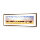 Elephant Trail