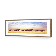Elephant Trail