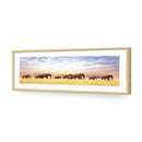 Elephant Trail