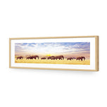 Elephant Trail