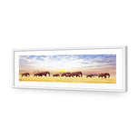 Elephant Trail