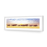 Elephant Trail