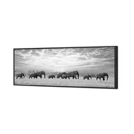 Elephant Trail , B&W