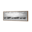 Elephant Trail , B&amp;W