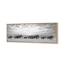 Elephant Trail , B&amp;W