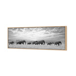 Elephant Trail , B&W
