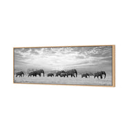 Elephant Trail , B&W