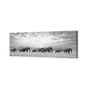 Elephant Trail , B&amp;W