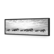Elephant Trail , B&W