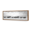 Elephant Trail , B&amp;W