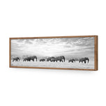 Elephant Trail , B&W