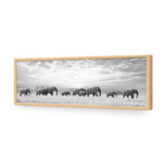 Elephant Trail , B&W