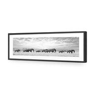 Elephant Trail , B&W