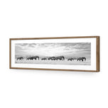 Elephant Trail , B&W