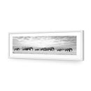 Elephant Trail , B&amp;W